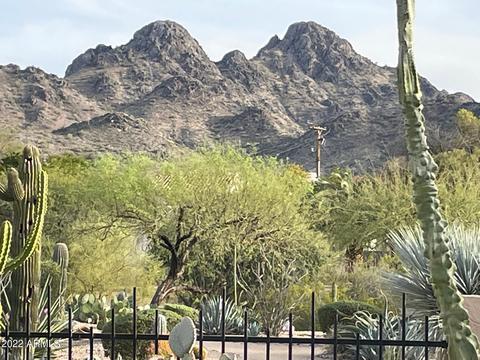 2531 E Vogel Ave, Phoenix, AZ 85028 photo 41