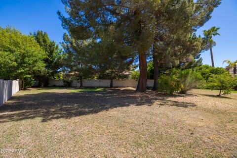 3850 E Menlo St, Mesa, AZ 85215 photo 44