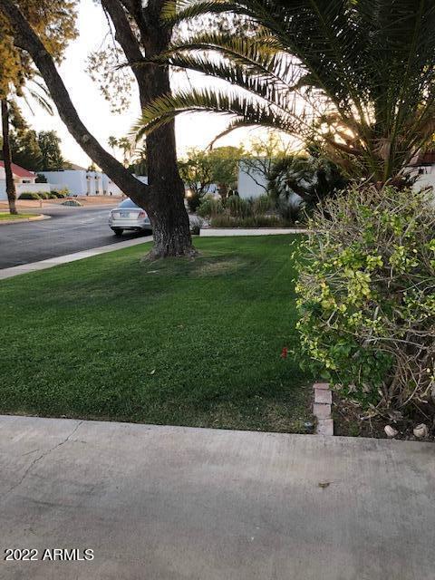 648 E Boca Raton Rd, Phoenix, AZ 85022 photo 13