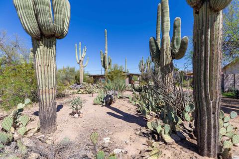 10638 E Boulder Dr, Apache Junction, AZ 85120 photo 2