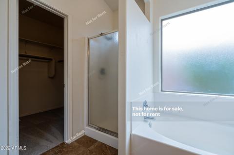 3536 E San Pedro Ave, Gilbert, AZ 85234 photo 23