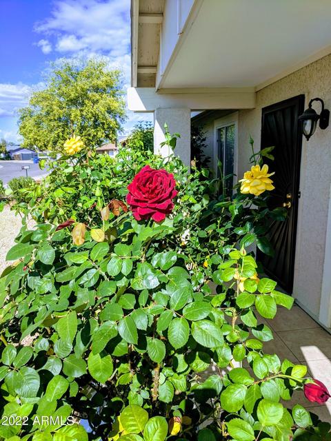 3405 E Angela Dr, Phoenix, AZ 85032 photo 3