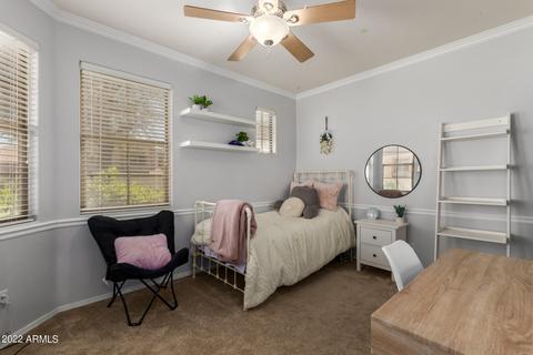 9028 E Hobart St, Mesa, AZ 85207 photo 22