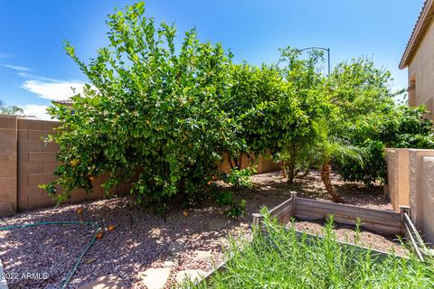 10130 E Posada Ave, Mesa, AZ 85212 photo 46