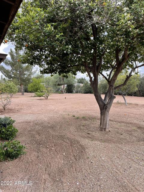 77 N Tomahawk Rd, Apache Junction, AZ 85119 photo 2