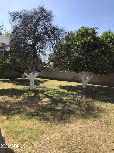 2745 W Elm St, Phoenix, AZ 85017 photo 22