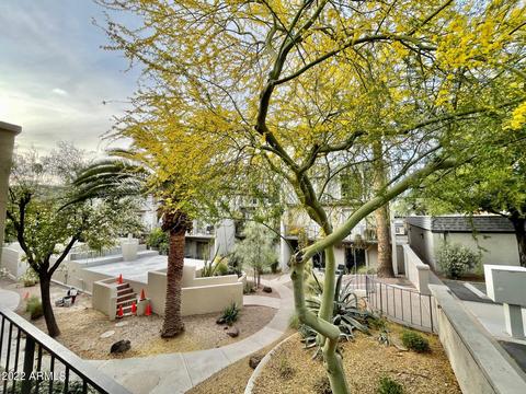 1012 E Osborn Rd #D, Phoenix, AZ 85014 photo 2