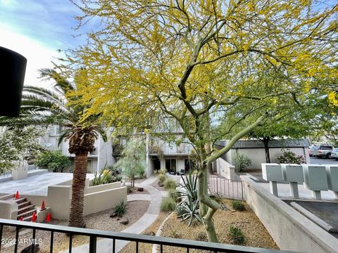 1012 E Osborn Rd #D, Phoenix, AZ 85014 photo 3