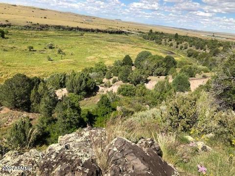 00000 W Joy Dr #010D, Eagar, AZ 85925