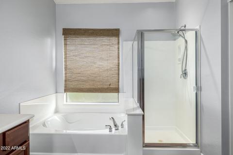 10735 E Lobo Ave, Mesa, AZ 85209 photo 33