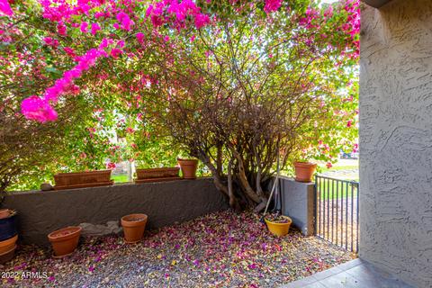 3825 E Camelback Rd #171, Phoenix, AZ 85018 photo 19