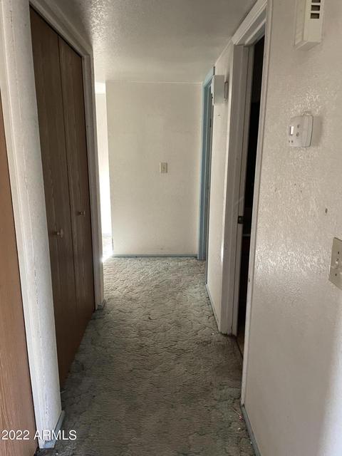 2541 E Carol Ave, Mesa, AZ 85204 photo 7