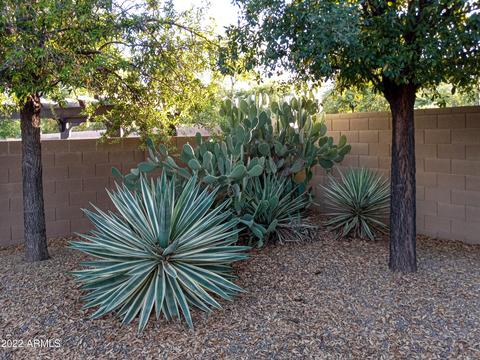 2438 S Stuart Ave, Gilbert, AZ 85295 photo 27