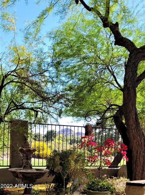 1505 Estrid Ave, Phoenix, AZ 85022 photo 14