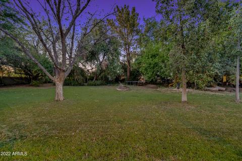 1302 E Sage Brush St, Gilbert, AZ 85296 photo 4