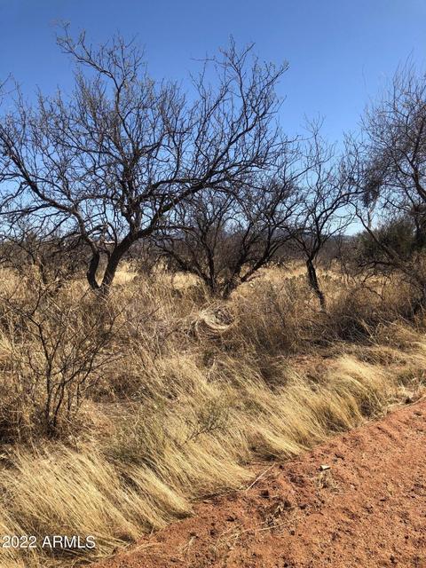 24231 E Tonopah Trl #351, Benson, AZ 85602