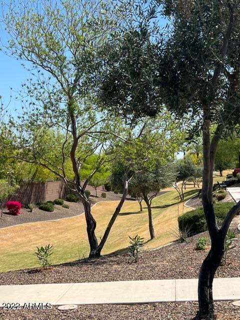 749 E Harwell Rd, Phoenix, AZ 85042 photo 40