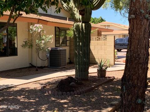 321 N 65th St #8, Mesa, AZ 85205 photo 5