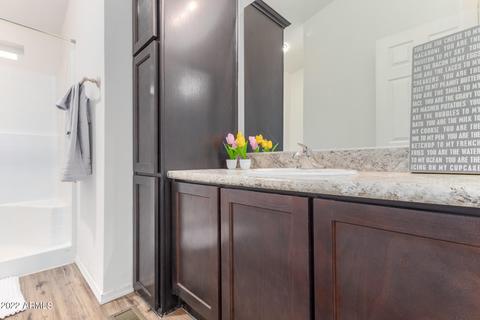 4330 E Pollack Ln, Phoenix, AZ 85042 photo 16