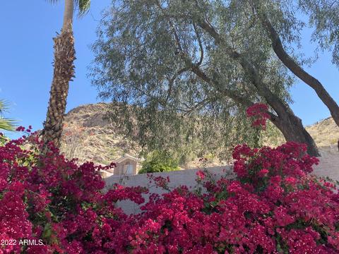 1414 E Goldenrod St, Phoenix, AZ 85048 photo 36