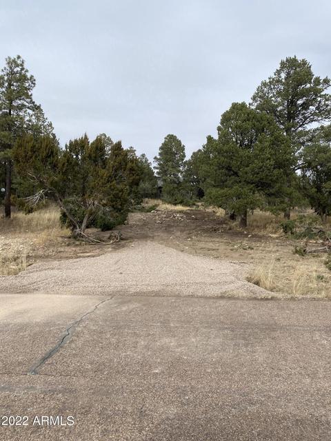 2238 Fairway Dr, Overgaard, AZ 85933 photo 9