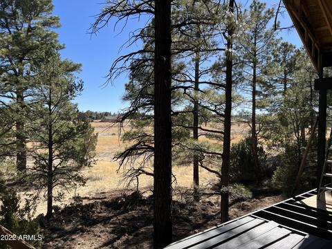 2239 Fairway Dr, Overgaard, AZ 85933 photo 9