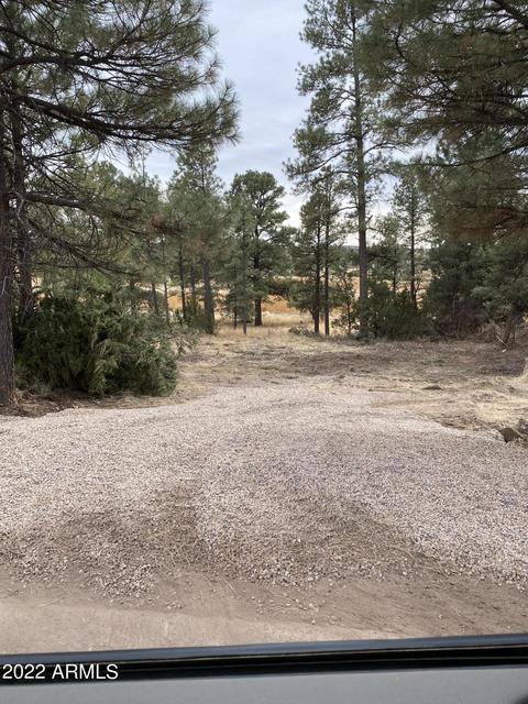 2239 Fairway Dr, Overgaard, AZ 85933 photo 10