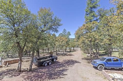 4493 N Holly Dr, Pine, AZ 85544 photo 38