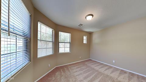 9031 E Hannibal St, Mesa, AZ 85207 photo 16
