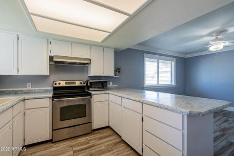 1215 E Indigo St, Mesa, AZ 85203 photo 4
