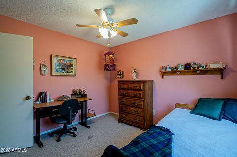 2514 W Eugie Ave, Phoenix, AZ 85029 photo 25