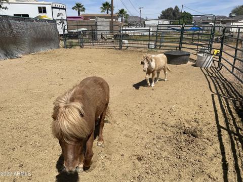 116 S Malcolm Dr, Apache Junction, AZ 85120 photo 17