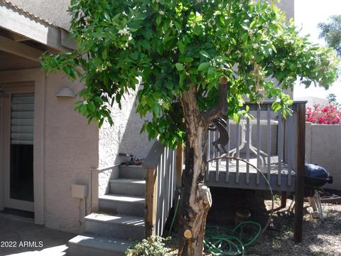 4117 E Charter Oak Rd E, Phoenix, AZ 85032 photo 6