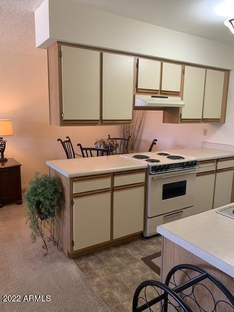 1440 N Idaho Rd #1005, Apache Junction, AZ 85119 photo 3