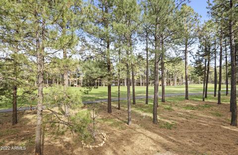 4530 E Coldstream Ln, Flagstaff, AZ 86004 photo 32