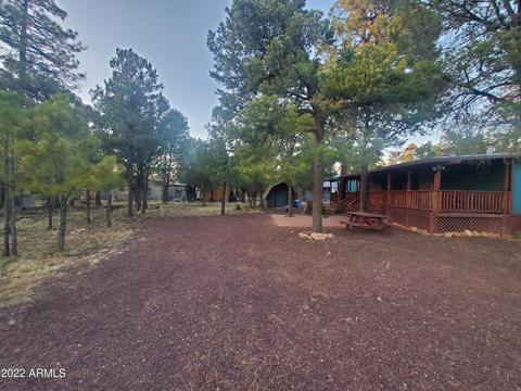 2060 Chevelon Rd, Overgaard, AZ 85933 photo 28