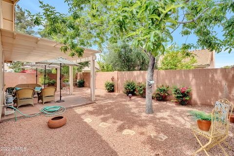 4338 E Chuckwalla Cyn, Phoenix, AZ 85044 photo 30