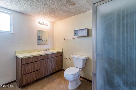 3034 E Diamond St, Phoenix, AZ 85008 photo 10