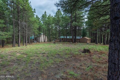 3128 Summer Loop, Forest Lakes, AZ 85931 photo 40
