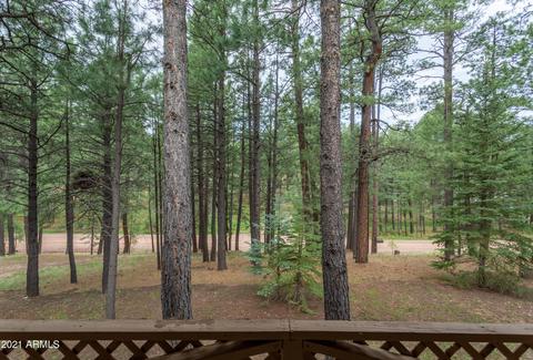 3128 Summer Loop, Forest Lakes, AZ 85931 photo 33