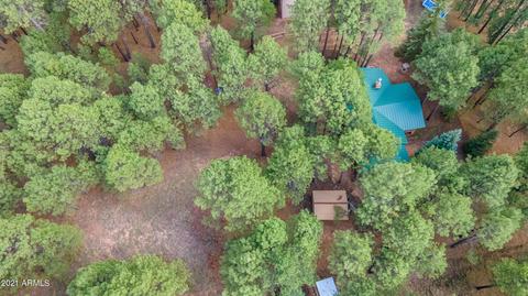 3128 Summer Loop, Forest Lakes, AZ 85931 photo 47
