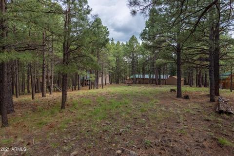 3128 Summer Loop, Forest Lakes, AZ 85931 photo 39