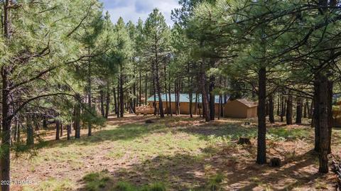 3128 Summer Loop, Forest Lakes, AZ 85931 photo 35