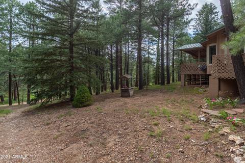 3128 Summer Loop, Forest Lakes, AZ 85931 photo 7