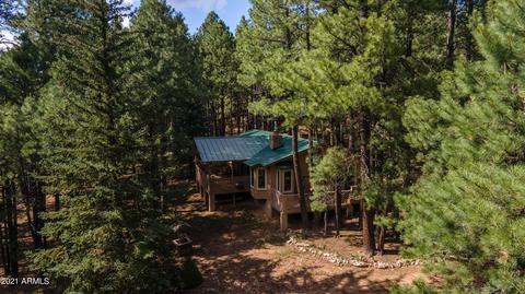 3128 Summer Loop, Forest Lakes, AZ 85931 photo 45