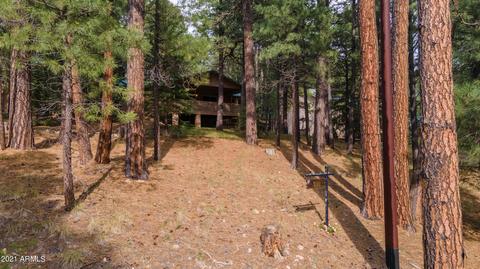 3128 Summer Loop, Forest Lakes, AZ 85931 photo 43