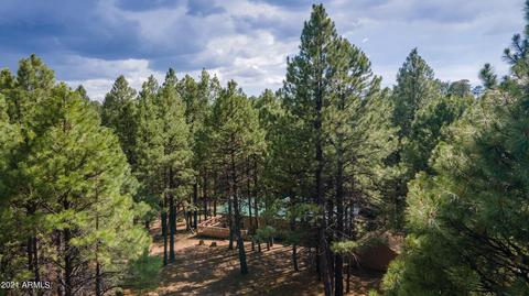 3128 Summer Loop, Forest Lakes, AZ 85931 photo 46