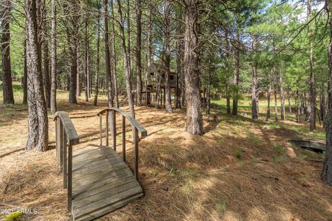 3128 Summer Loop, Forest Lakes, AZ 85931 photo 37