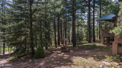3128 Summer Loop, Forest Lakes, AZ 85931 photo 34