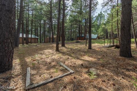 3128 Summer Loop, Forest Lakes, AZ 85931 photo 36